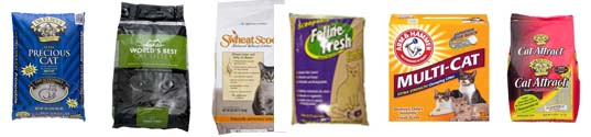 Cat Litter Brands and Reviews